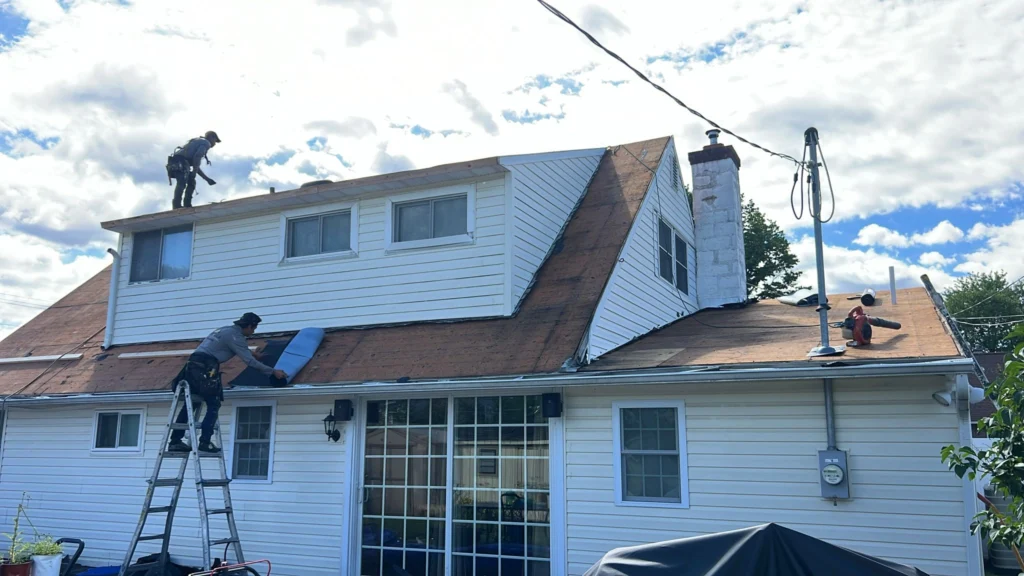 Common Roofing Problems