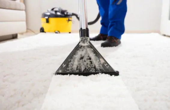  Keeping your carpets clean and fresh