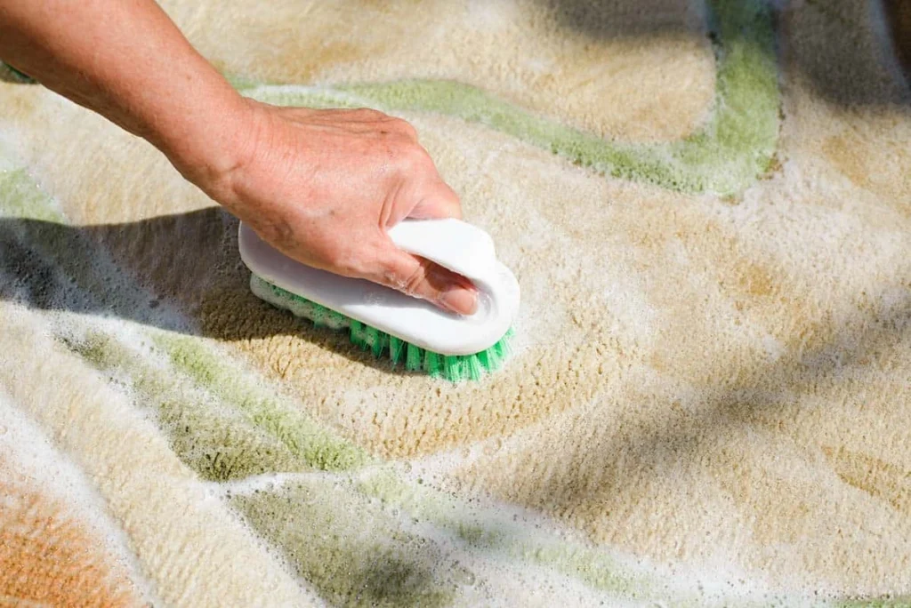  Keeping your carpets clean and fresh